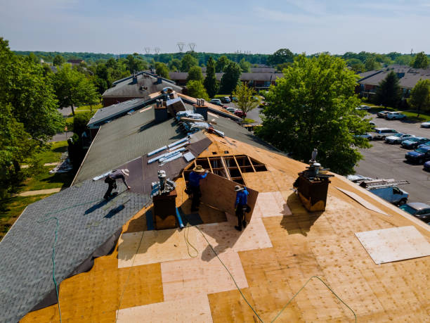 Trusted Storm Damage Roof Repair service in Proctor, MT - Brentwood Metal Roofing